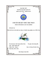 Phân tích báo cáo tài chính của công ty cổ phần công nghiệp cao su Miền Nam