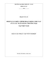 pháp luật điều chỉnh hoạt động cho vay của các ngân hàng thương mại tại việt nam