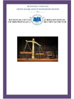 Tiểu luận môn luật cạnh tranh đề tài bán hàng đa cấp và điều chỉnh hoạt động bán hàng đa cấp theo pháp luật cạnh tranh và thực tiễn tại việt nam