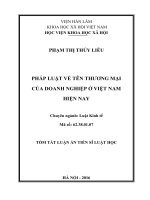 Pháp luật về tên thương mại của doanh nghiệp ở việt nam hiện nay (TT)