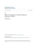 Effective strategies for general and special education teachers