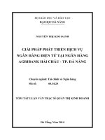 Giải pháp phát triển dịch vụ ngân hàng điện tử tại ngân hàng agribank hải châu   TP  đà nẵng