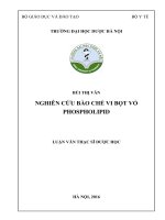 NGHIÊN CỨU BÀO CHẾ VI BỌT VỎ PHOSPHOLIPID