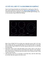 CÓ nên MUA bếp từ FAGOR IF800S DUO KHÔNG