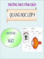 CHUYÊN ĐỀ MẮT VÀ CÁC TẬT CỦA MẮT