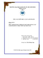 Tiểu luận môn luật cạnh tranh đề tài điều chỉnh hành vi định giá hủy diệt bằng luật cạnh tranh và thực tiễn tại việt nam