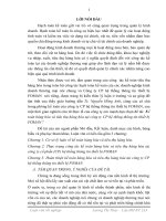 Hàng hóa và tiêu thụ hàng hóa tại công ty CP hệ thống thông tin thiết bị FOMAN