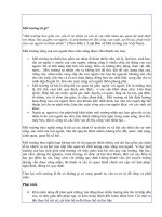 Mối quan hệ giữa môi trường và phát triển