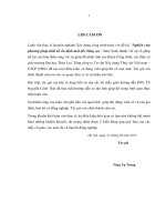 Nghiên cứu phương pháp thiết kế ổn định mái dốc bằng cọc 