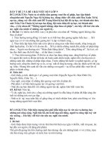 DÀN Ý ĐỀ 2 VÀ ĐỀ 4 BÀI VIẾT SỐ 5 LỚP 9