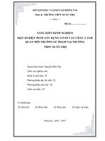 skkn một số BIỆN PHÁP xây DỰNG cơ sở vật CHẤT, CẢNH QUAN môi TRƯỜNG sư PHẠM tại TRƯỜNG THPT 