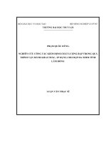 Nghiên cứu công tác kiểm định chất lượng đập trong quá trình vận hành khai thác, áp dụng cho đập đa nhim tỉnh Lâm Đồng