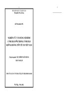 Nghiên cứu vận dụng mô hình cảnh báo sớm trong cảnh báo khủng hoảng tiền tệ tại Việt Nam