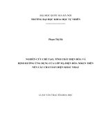 NGHIÊN CỨU CHẾ TẠO, TÍNH CHẤT ĐIỆN HÓA VÀ  ĐỊNH HƢỚNG ỨNG DỤNG CỦA LỚP MẠ ĐIỆN HÓA NIKEN TRÊN  NỀN CÁC CHẤT DẪN ĐIỆN KHÁC NHAU