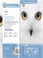 cambrige cambridge Eyes l1