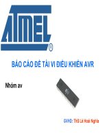 Báo cáo đề tài vi điều khiển AVR