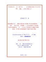 Nghiên cứu đánh giá khả năng tuần hoàn nước và đề xuất giải pháp điều chỉnh hệ thống tuần hoàn nước đối với hệ thống hồ sinh thái khu đô thị ecopark tỉnh hưng yên 