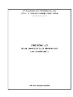 PHƯƠNG ÁN HOẠT ĐỘNG SẢN XUẤT KINH DOANH SAU CỔ PHẦN HÓA
