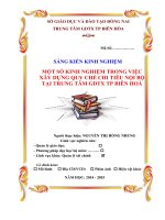 skkn một số kinh nghiệm trong việc xây dựng quy chế chi tiêu nội bộ tại trung tâm GDTX TP biên hòa 