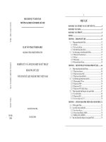 NGHIÊN CỨU VÀ ÁP DỤNG MỘT SỐ KỸ THUẬT KHAI PHÁ DỮ LIỆU VỚI CƠ SỞ DỮ LIỆU NGÀNH THUẾ VIỆT NAM
