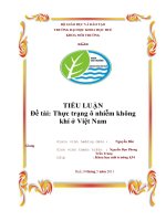 Tiểu luận thực trạng ô nhiễm không khí ở việt nam   copy 