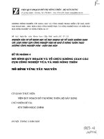 Mô hình quy hoạch và tổ chức không gian các cụm công nghiệp vừa và nhỏ ở nông thôn 