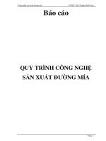 Báo cáo quy trình công nghệ sản xuất đường mía 