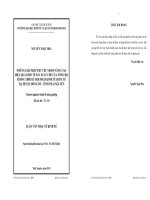 Những giải pháp chủ yếu nhằm nâng cao hiệu quả sản xuất chè của nông hộ trong thời kỳ hội nhập quốc tế tại huyện Đồng Hỷ tỉnh Thái Nguyên