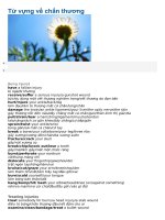 Từ vựng về chấn thương