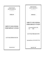 NGHIÊN CỨU VẤN ĐỀ AN NINH MẠNG INTERNET KHÔNG DÂY VÀ ỨNG DỤNG