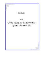 Tiểu luận cộng nghệ xử lý nước thải ngành sản xuất bia 