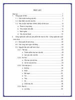 Tiểu luận công nghệ sản xuất các sản phẩm lên men từ thịt – công nghệ sản xuất nem chua 