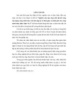 Nghiên cứu ổn định đập vật liệu địa phương trong đầu mối thủy điện tích năng 