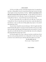 Nghiên cứu giải pháp xử lý ổn định mái đê sông áp dụng cho đê tả sông chu 