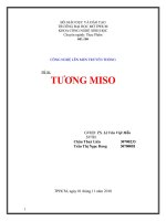 Đề tài công nghệ lên men truyền thống tương miso 