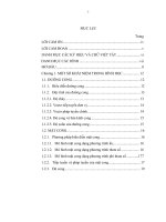 Các mặt cong phương trình đạo hàm riêng và ứng dụng trong đồ họa máy tính 