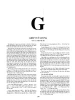 Bách khoa thư bệnh học tập 3 (phần g, h, i) 