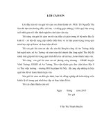 Đề tài: Phát triển làng nghề mộc thôn Thủ Độ  xã An Tường – huyện Vĩnh Tường – tỉnh Vĩnh Phúc