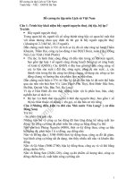 Đề cương ôn tập môn lịch sử việt nam