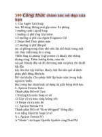 500 Công thức chăm sóc vẻ đẹp của bạn