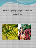 Sản xuất hàng hóa trong nông nghiệp, nhân tố ảnh hưởng, liên hệ các vùng ở việt nam