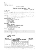 GIÁO án âm NHẠC 8 cực HAY