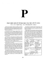 Bách khoa thư bệnh học tập 3 (phần p,r) 