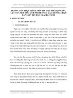 skkn HƯỚNG dẫn THỰC HÀNH môn TIN học PHÙ hợp NĂNG lực của mỗi học SINH NHẰM NÂNG CAO kết QUẢ học tập môn TIN học của học SINH