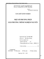 skkn một số PHƯƠNG PHÁP GIẢI PHƯƠNG TRÌNH NGHIỆM NGUYÊN  