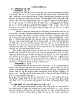 SKKN ANH VĂN CHỦ ĐỀ NÓI