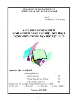 skkn KINH NGHIỆM NÂNG CAO HIỆU QUẢ HOẠT ĐỘNG NHÓM TRONG dạy học LỊCH sử 8