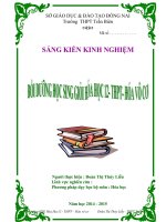 skkn Bồi dưỡng học sinh giỏi Hóa học 12 – THPT- Hóa vô cơ.