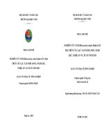 Nông nghiệp Nghiên cứu nấm Rhizoctonia solani kuhn gây hại trên cây lạc tại Nghi Long, Nghi Lộc, Nghệ An vụ xuân năm 2013  Phan Anh Thế