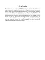 Phân tích sự khác biệt của một số khoản mục trong hệ thống chuẩn mực kế toán Việt Nam so với hệ thống chuẩn mực kế toán quốc tế